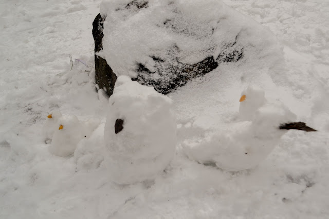 ПРОГУЛКА ДОБРЫЕ ДЕЛА