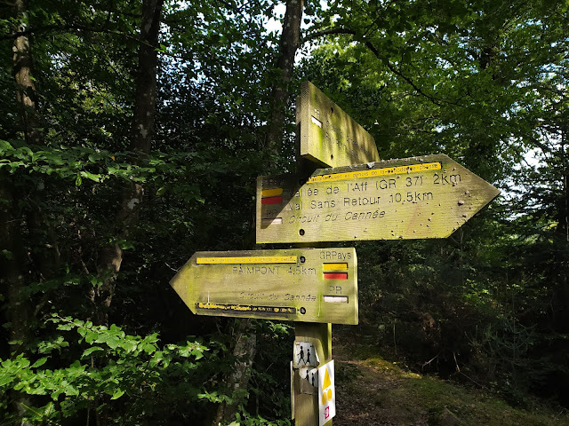 [CR] Un tour de la forêt de Brocéliande, le jeudi 16 septembre 2021. IMG_20210916_132926