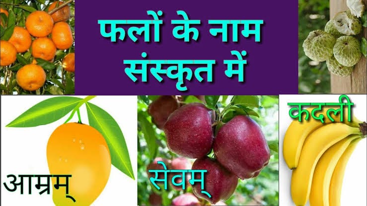 Sanskrit Me Falo Ke Naam Names Of Fruits In 
