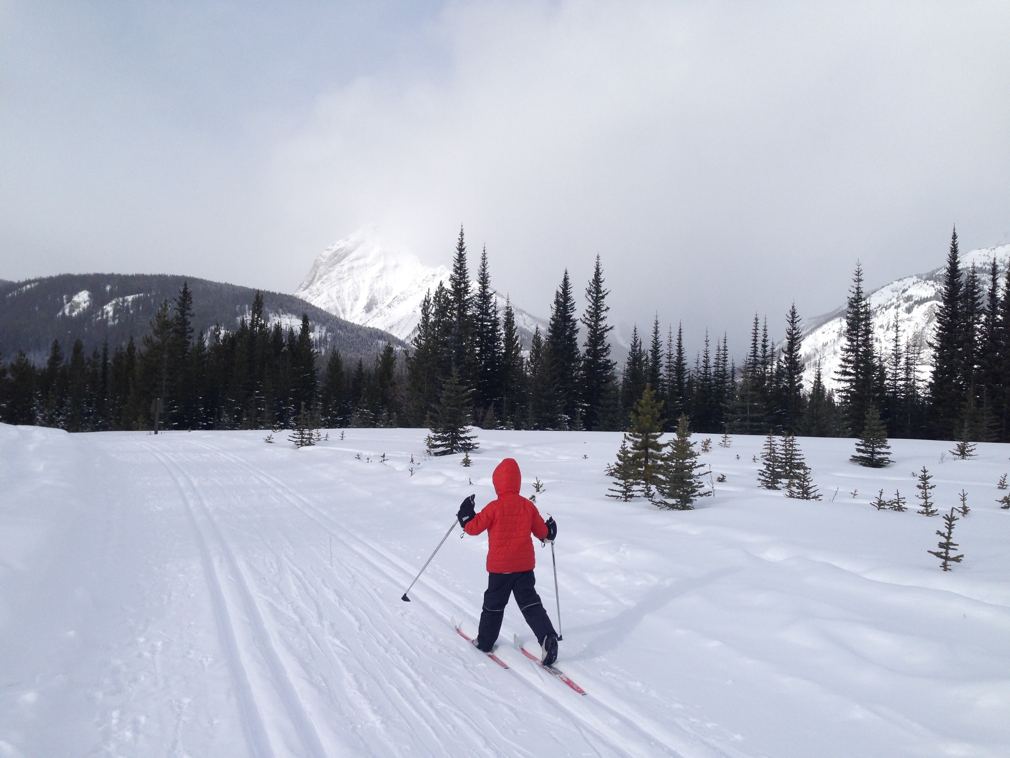 Family Adventures in the Canadian Rockies The Best Beginner CrossCountry Ski Trails near Calgary