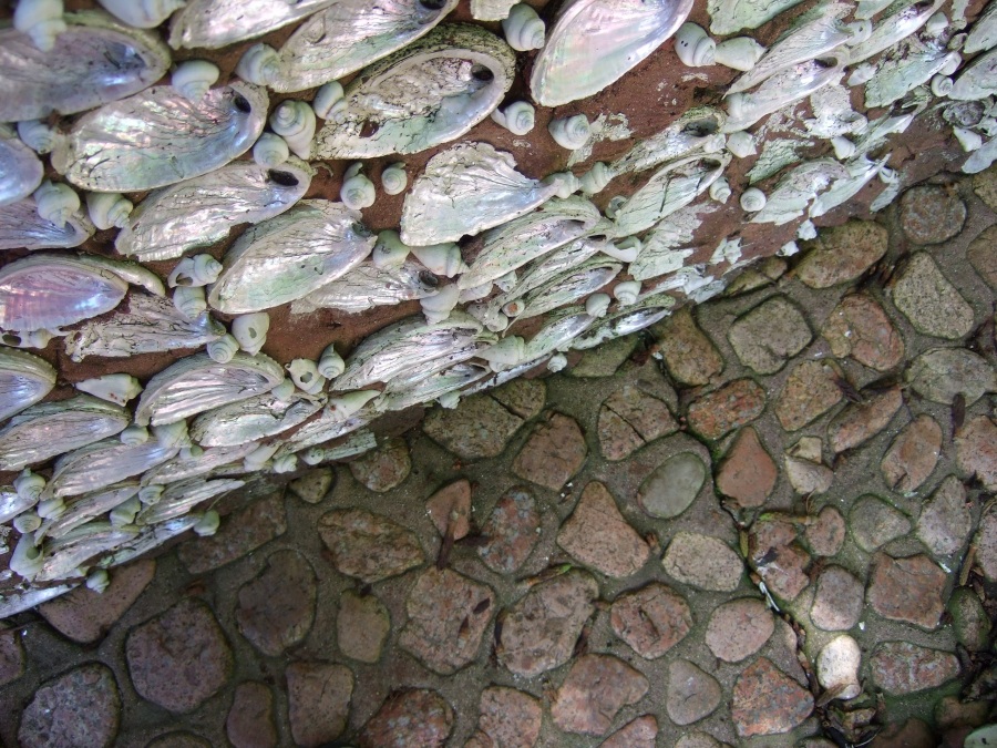 *An English Travel Writer* Jersey