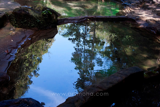 reflection, photography, taman rimba teluk bahang, tempat menarik di penang, lokasi berkelah, masa bersama keluarga, tenangkan fikiran,