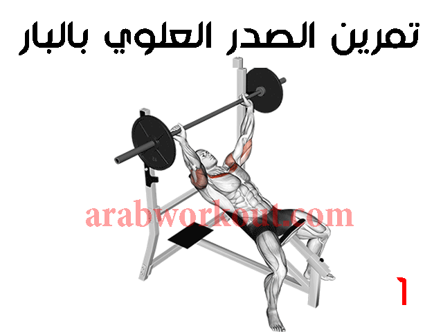 تمرين الصدر العلوي بالبار تمرين الصدر العلوي بالبار