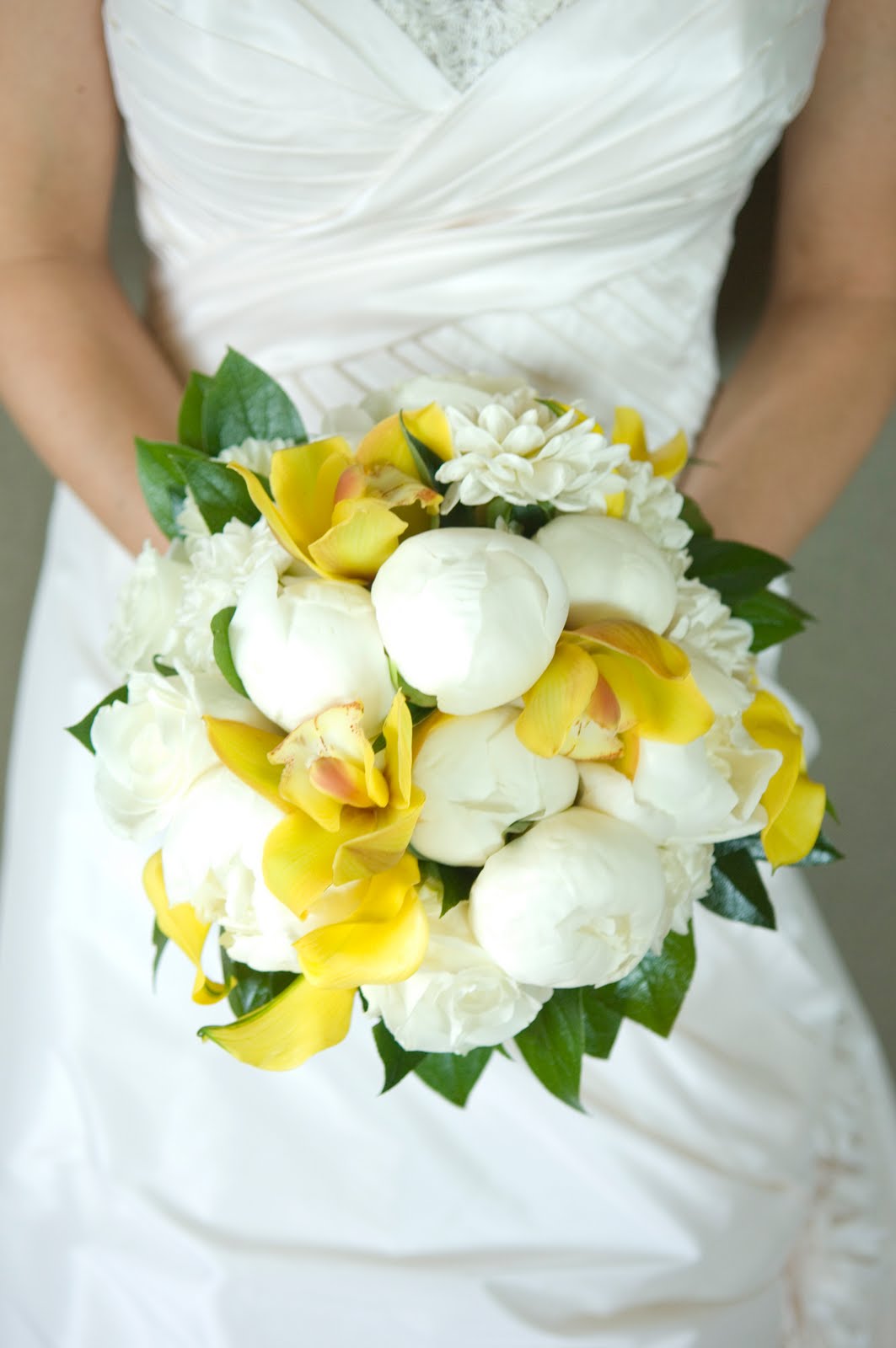 Inspiration Lovely Phalaenopsis Orchids
