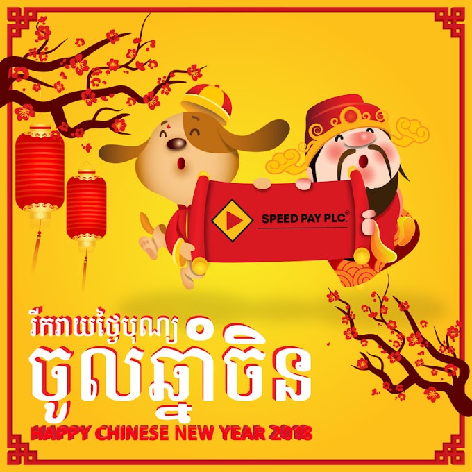 Chinese New Year 2019 free vector templates - vectorkh