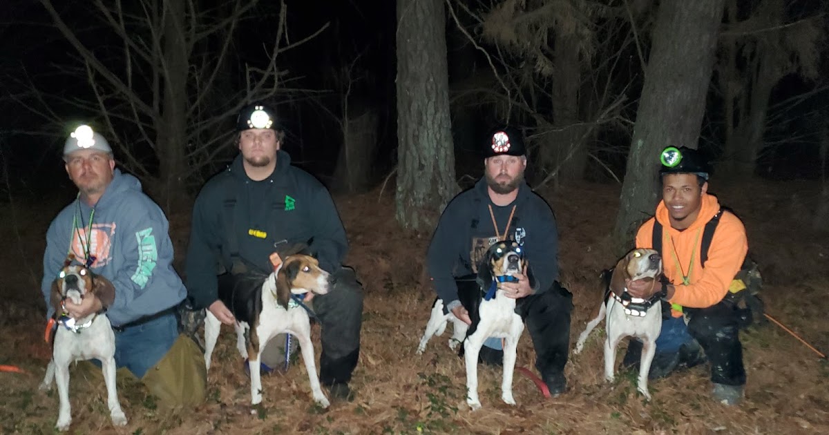 Lowcountry outdoors 2020 Grand American Coon Hunt Treeing Walker Wins