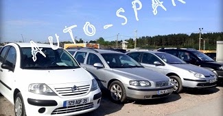 Авто из европы без растаможки. Авто из литвы без растаможки. Рст нерастаможенные. Пригон авто из европы. Авто плюс литва.