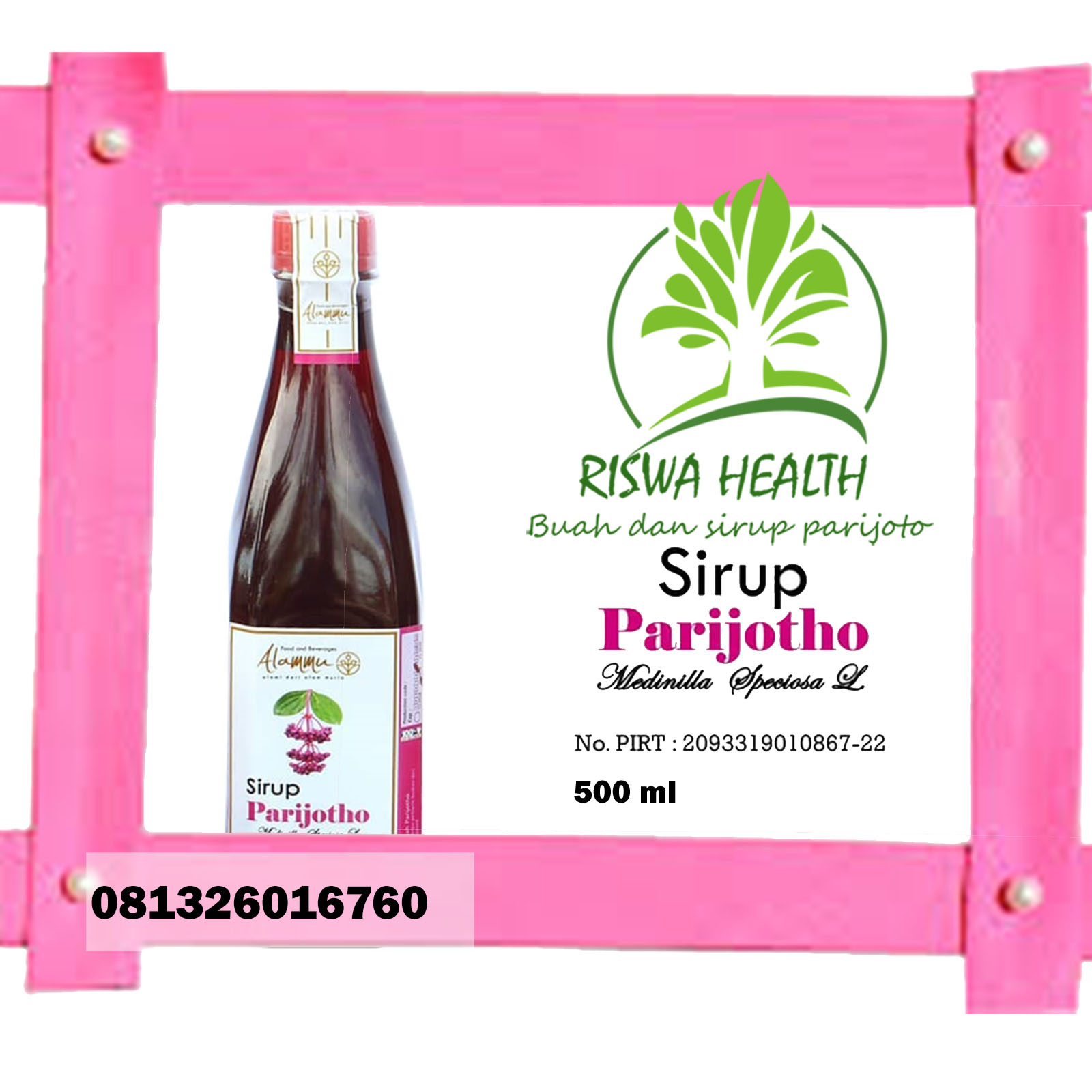 Cara Mengkonsumsi Buah Parijoto Untuk ibu Hamil Muria Dawe ...