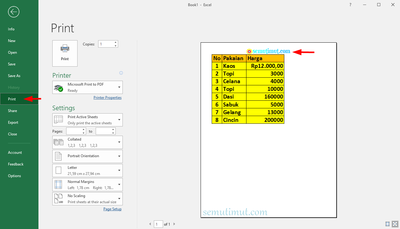 Cara Membuat Watermark di Excel Transparan Tulisan & Logo