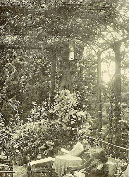 The pergola from Under Petraia