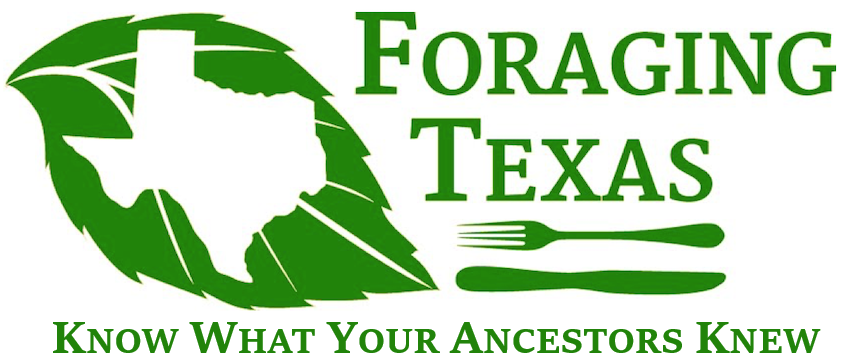 Foraging Texas