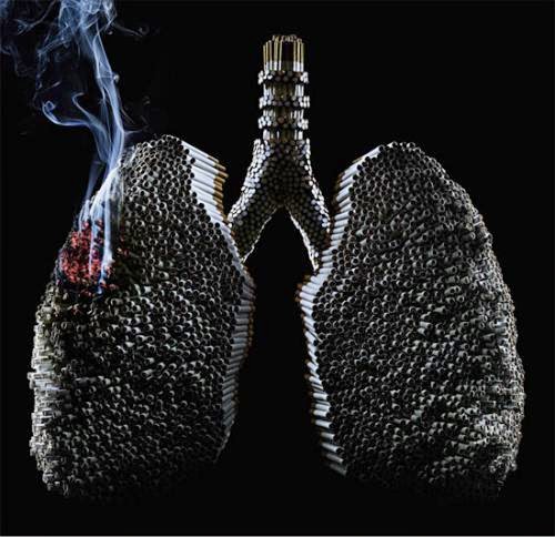 Почивка на море, пътеписи: Кои са 10 мита за тютюнопушенето? /Първа част/