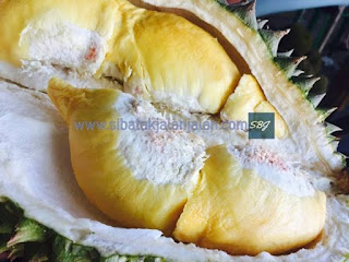 buah durian yang matang