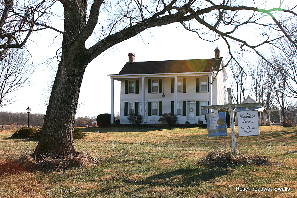 Time Stand Still, a photo blog Hoosier Homestead Farm