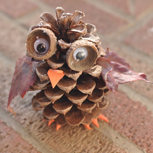 pine-cone-owl.jpg