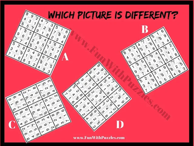 Killer Sudoku Odd One Out: Picture Puzzle Challenge