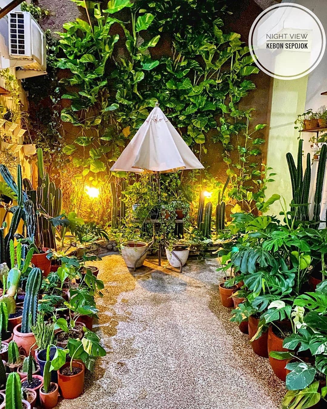 6 Tips Membuat Pencahayaan Taman yang Cantik dan Keren ~ HelloShabby