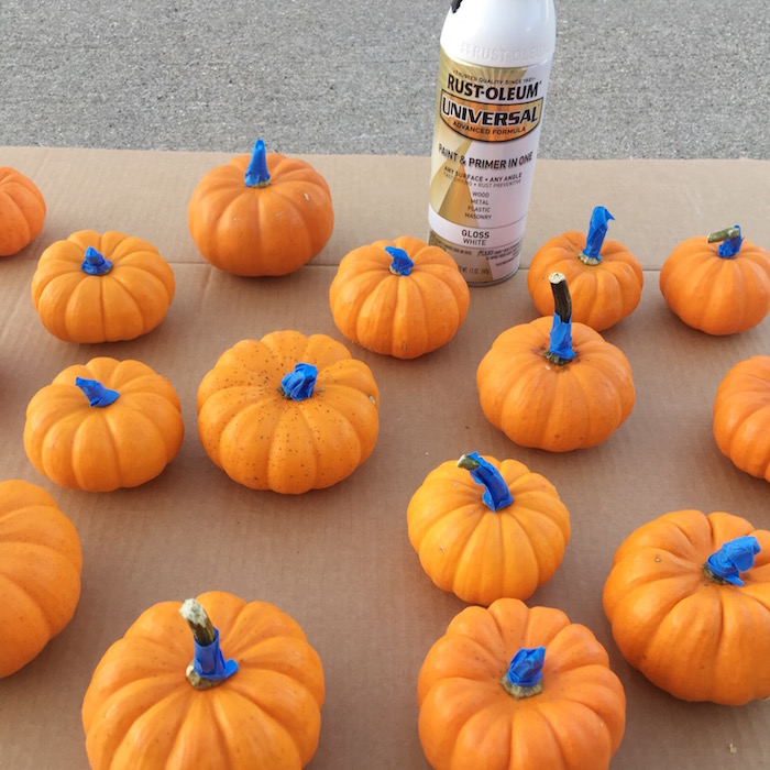 It's A Grandville Life Spray Painting Pumpkins & How to Keep from Rotting