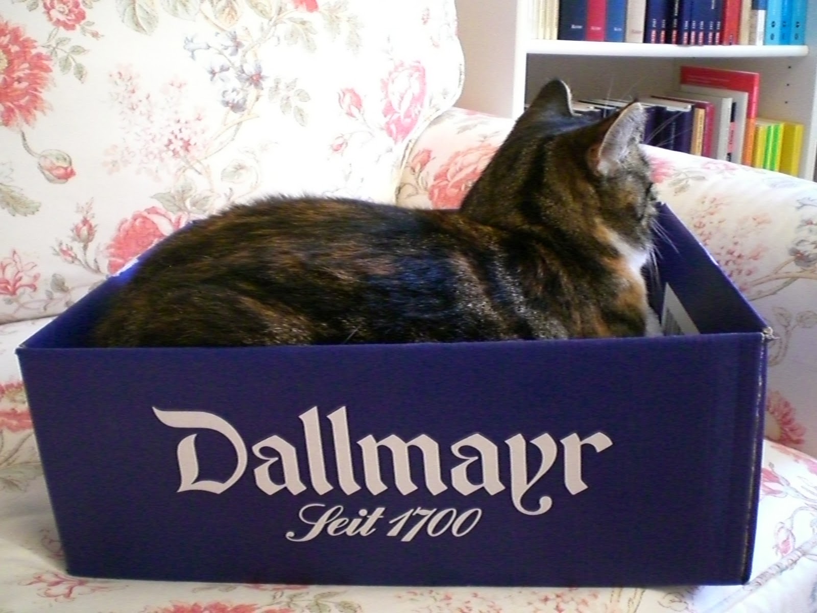 とらふぐノート ダルマイヤー