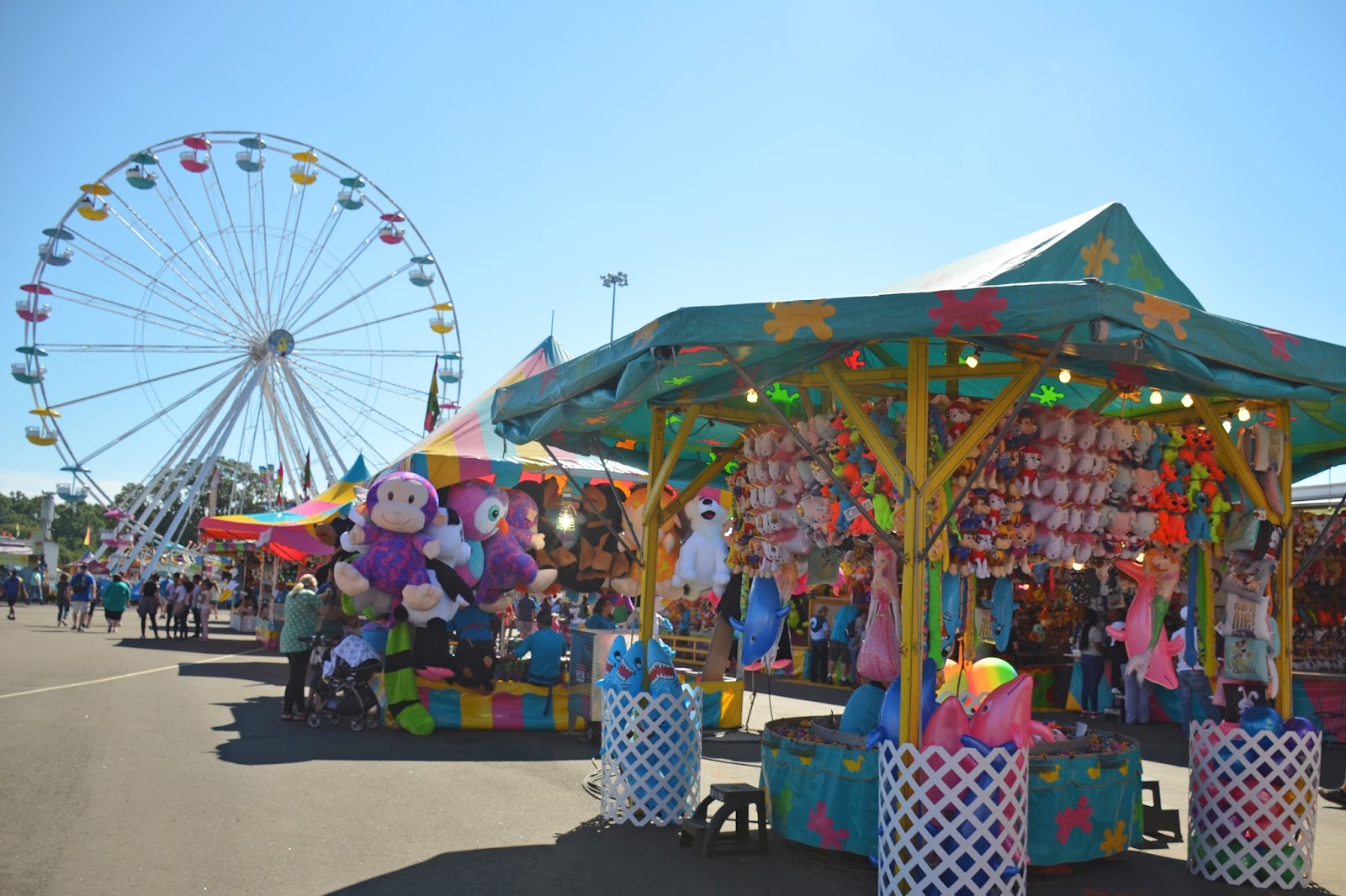 A Day at the Fair