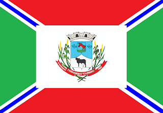 Bandeira de Fernandes Tourinho MG