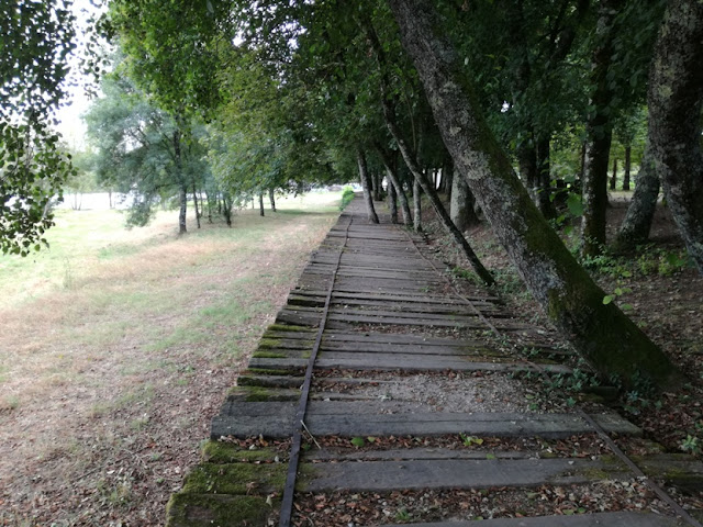 Passadiço de madeira