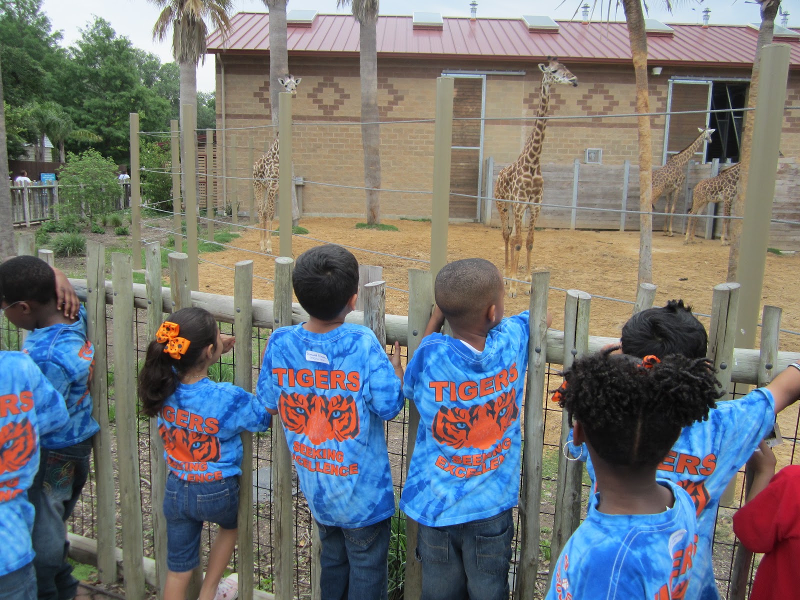 Kindergarten is "Kool": Kindergarten Field Trip to the Houston Zoo