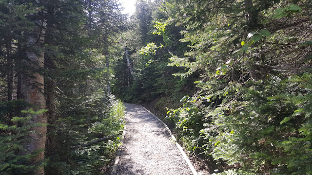 Sentier près du sommet du Pic de la Hutte