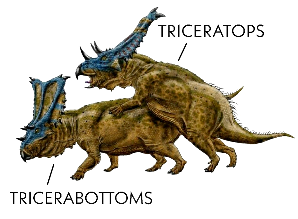 tricera.jpg