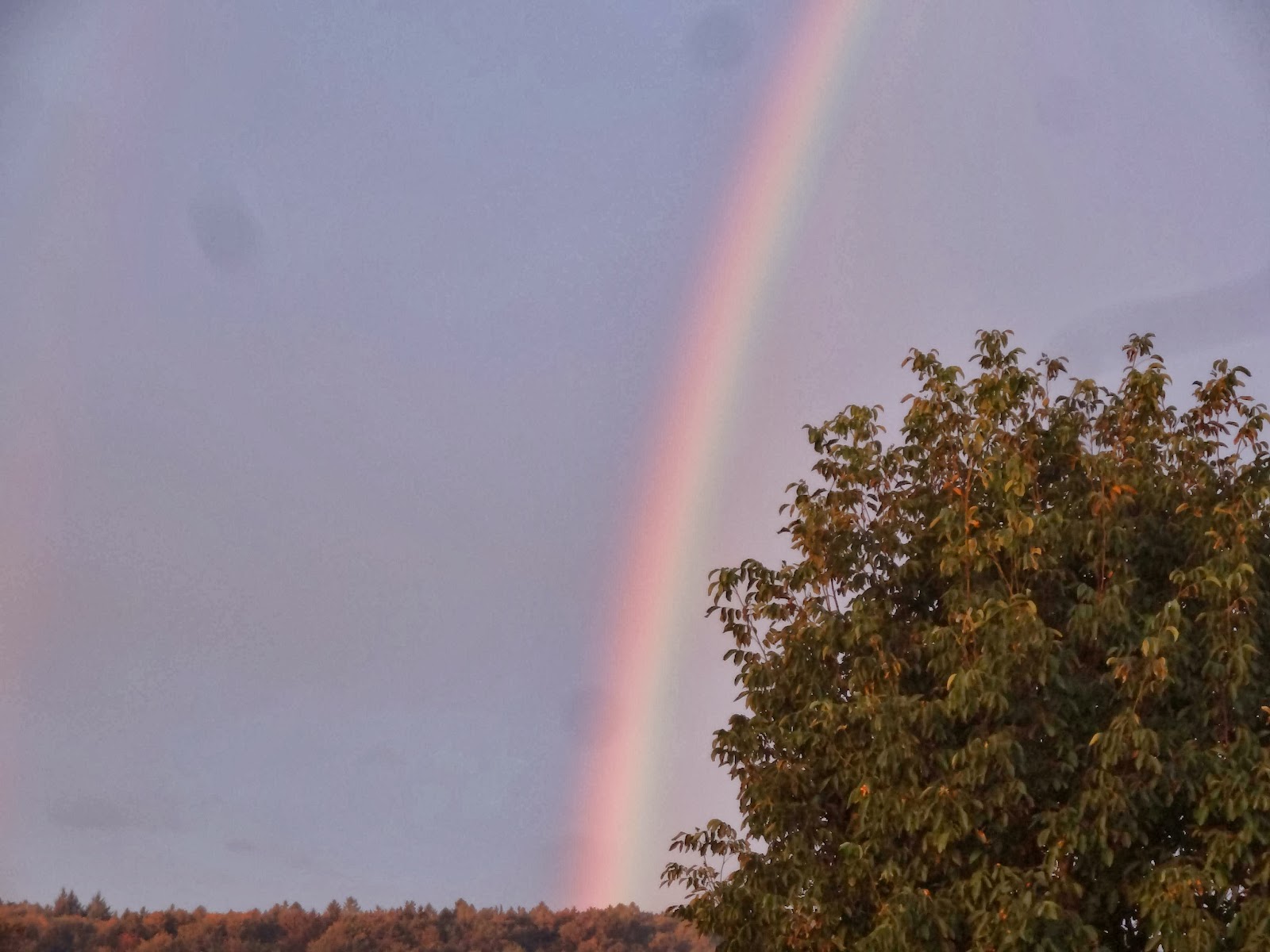 Bunter regenbogen uns lied regenbogen du zeichen gottes für regenbogen lied