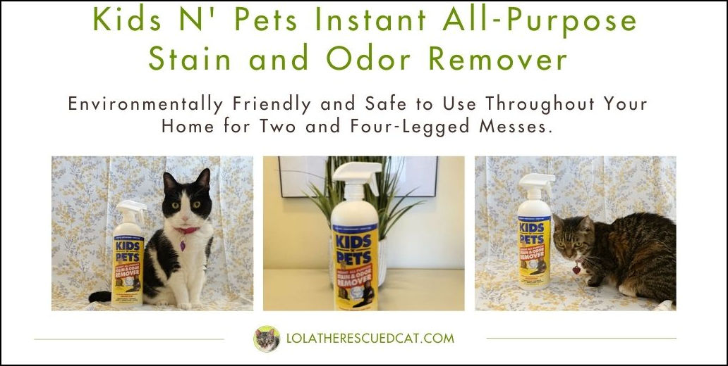 Get Rid of Stains and Odors with Kids N' Pets AllPurpose Stain & Odor