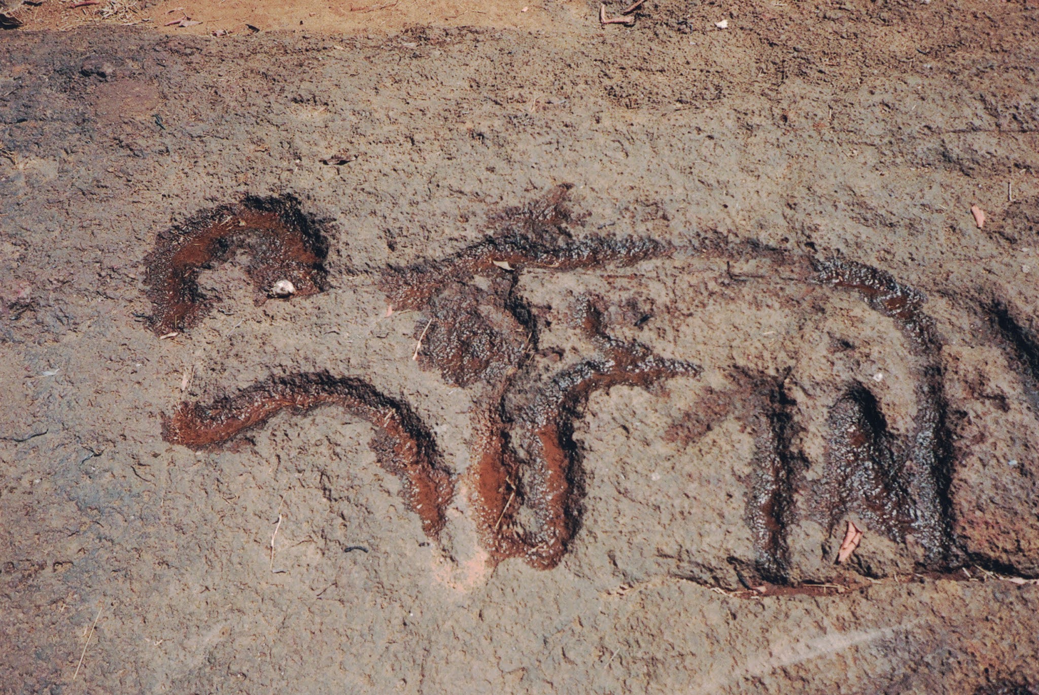 surin singh Rock Engravings of Goa