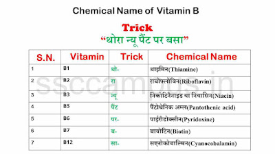 SSC GK: Vitamin (विटामिन) Types, Sources and Diseases caused by deficiency - SSC CAMPUS