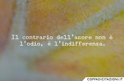 Chi Scrive Non Muore Mai Fa Piu Male L Odio O L Indifferenza