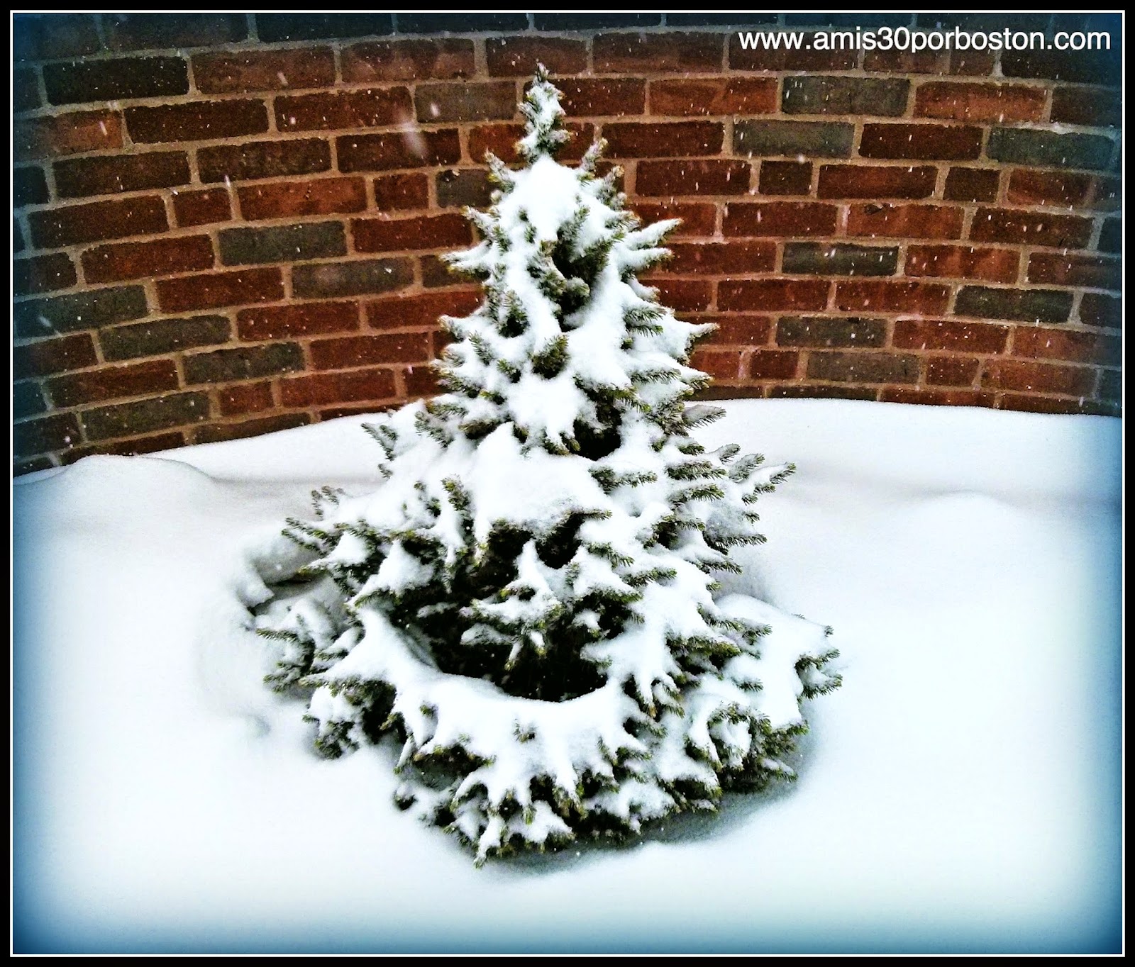 Tormentas de Nieve en Cambridge
