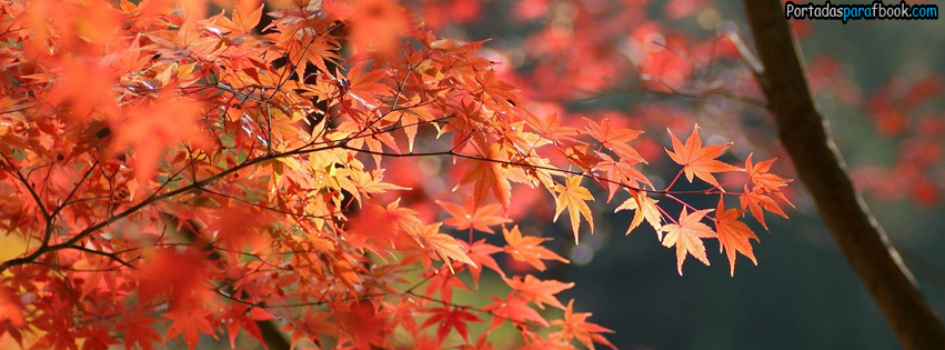 Fotos de otoño para portada de FaceBook - Imagui
