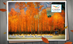Paket Tour Muslim Korea Selatan Paket Tour Tahun Baru Korea Selatan Murah