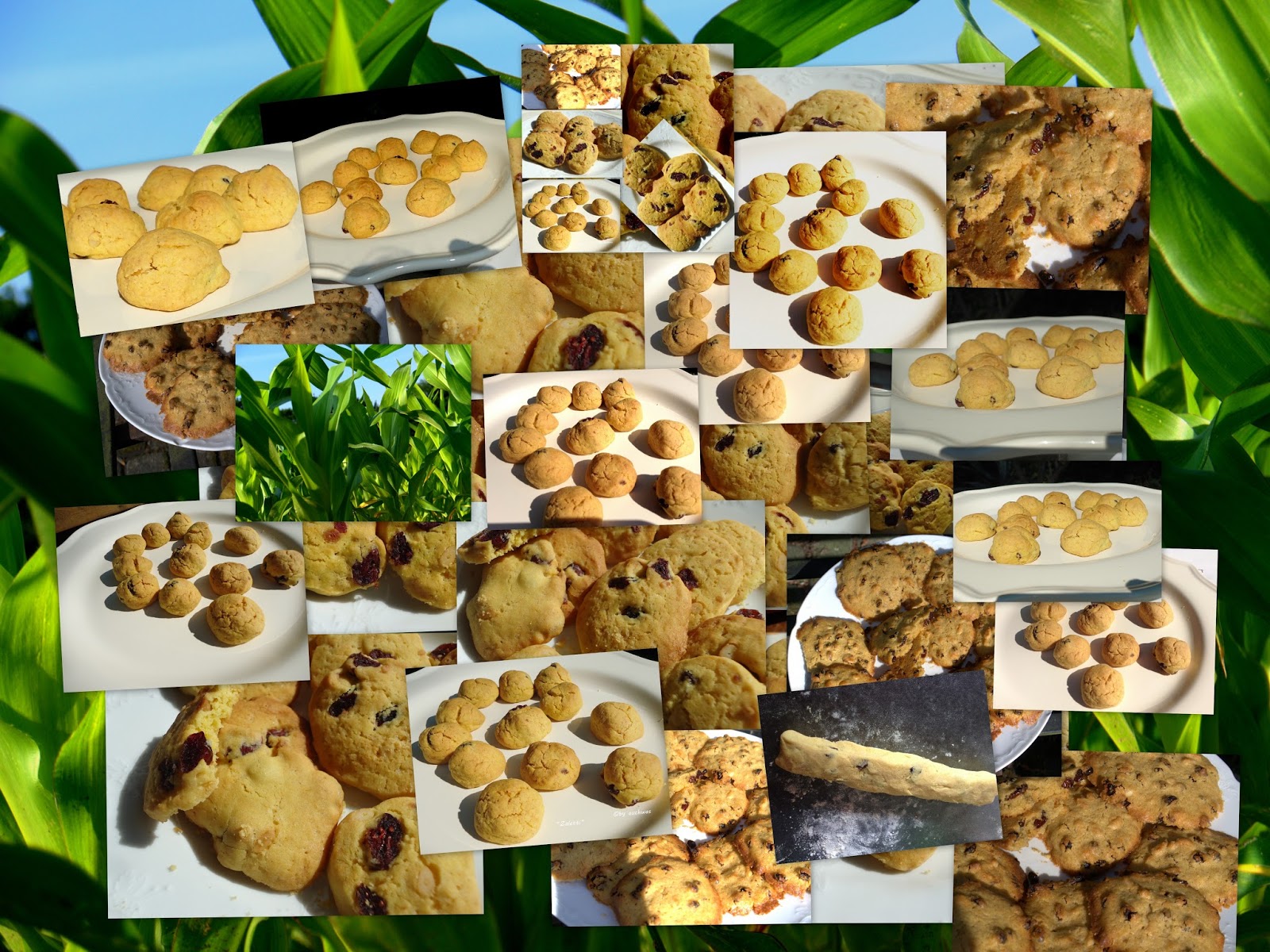 auchwas: "Zaletti" Kekse mit Maismehl und Beeren auchwas: "Zaletti" Kekse mit Maismehl und Beeren