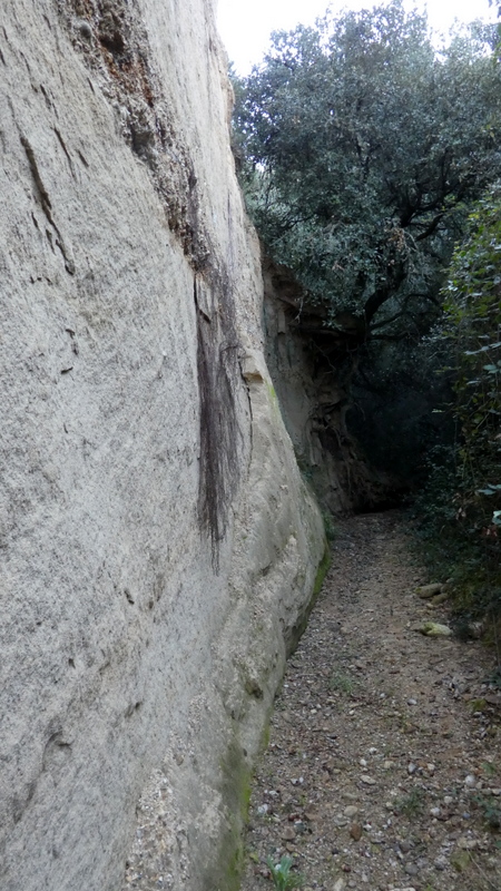 Les balades de Lison: Le Ravin du Sang (ou de la Liberté) : 2 ème