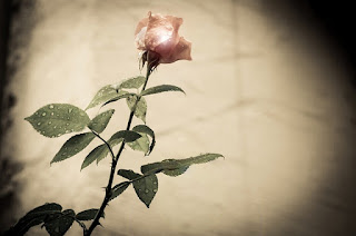 100+ Lovely Images, Lovely Wallpaper (Download In HD) - Kuch Khas Tech