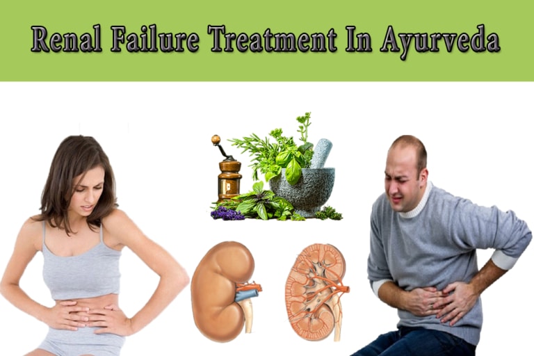 Kidney Treatment in Ayurveda How can work Ayurvedic treatment for
