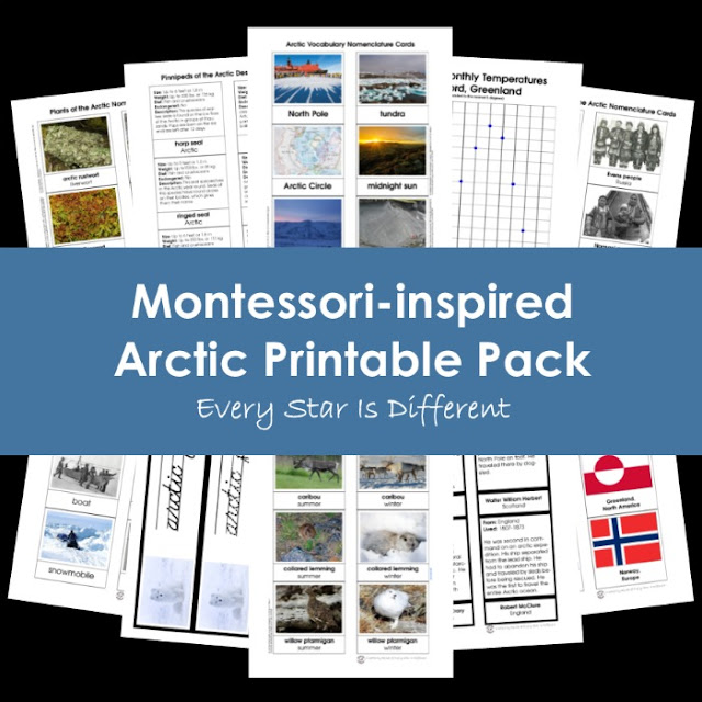 Montessori-inspired Arctic Printable Pack