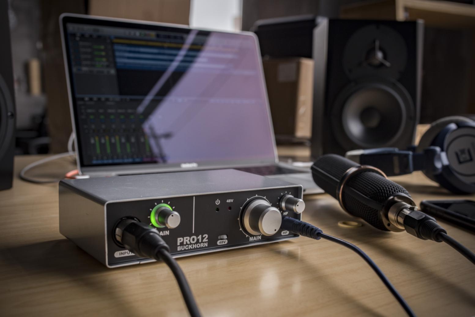 Buckhorn PRO12 New Enhanced Audio Interface For Live