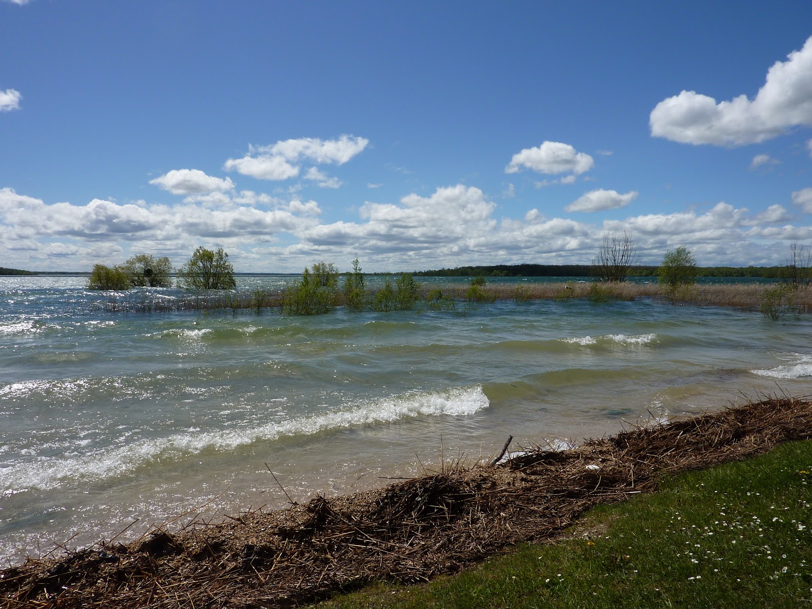 le jardin de marianne: lac de la foret d'orient