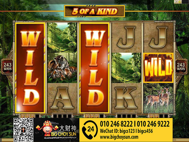 CollectAWildFeature wild symbol bigchoysun online casino malaysia