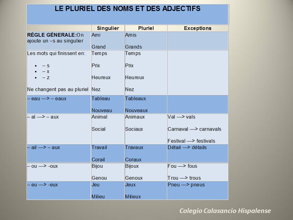 On apprend le Français! Le pluriel des noms et des adjectifs (Révision)