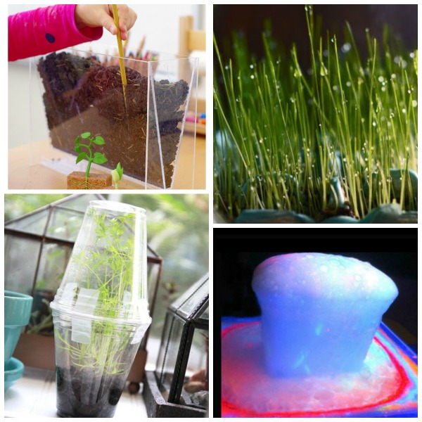 SPRING SCIENCE FOR KIDS- 30 FUN ACTIVITIES! #scienceexperimentskids #sciencefairprojects #springscienceactivities #springscienceexperimentsforkids #sciencefairprojectselementary #scienceforkids #scienceexperiments #springactivitiesforkids #springcraftsforkids #springactivities #springcrafts #activitiesforkids #craftsforkids #kidsactivities
