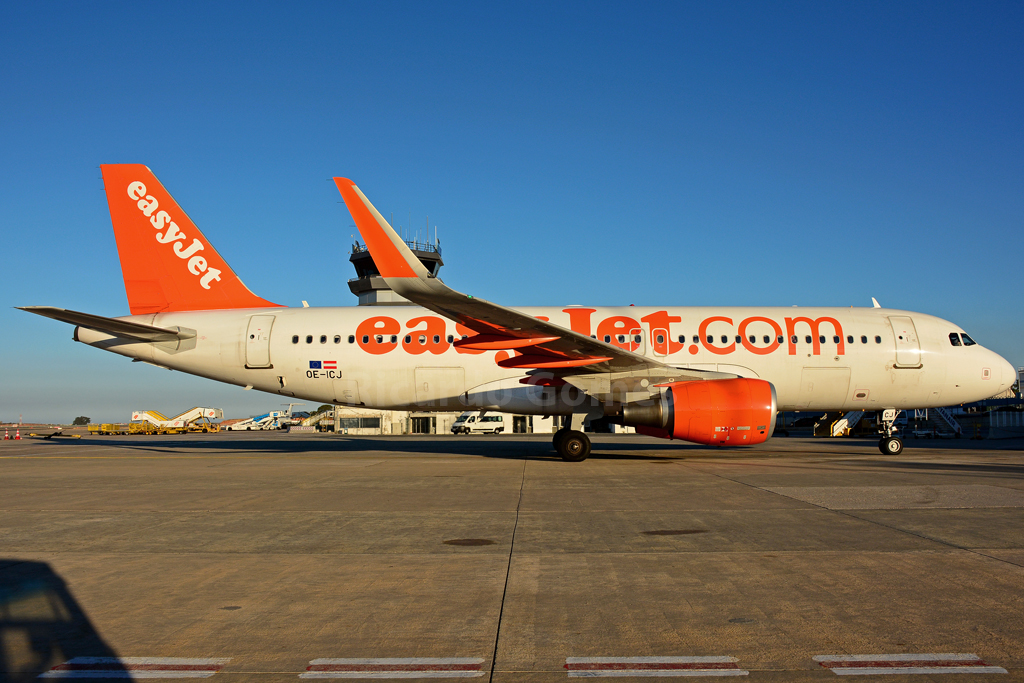 Ricardo Gomes The True Life of a True Spotter Movimentos de Maio de 2019