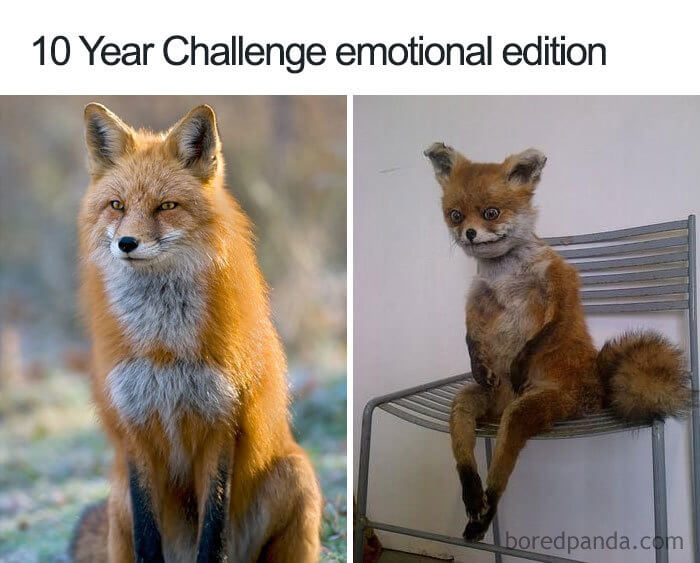30 Hilarious Memes For Those Who Can't Get Enough Of The ‘10 Year Challenge’ 30 Hilarious Memes For Those Who Can't Get Enough Of The ‘10 Year Challenge’