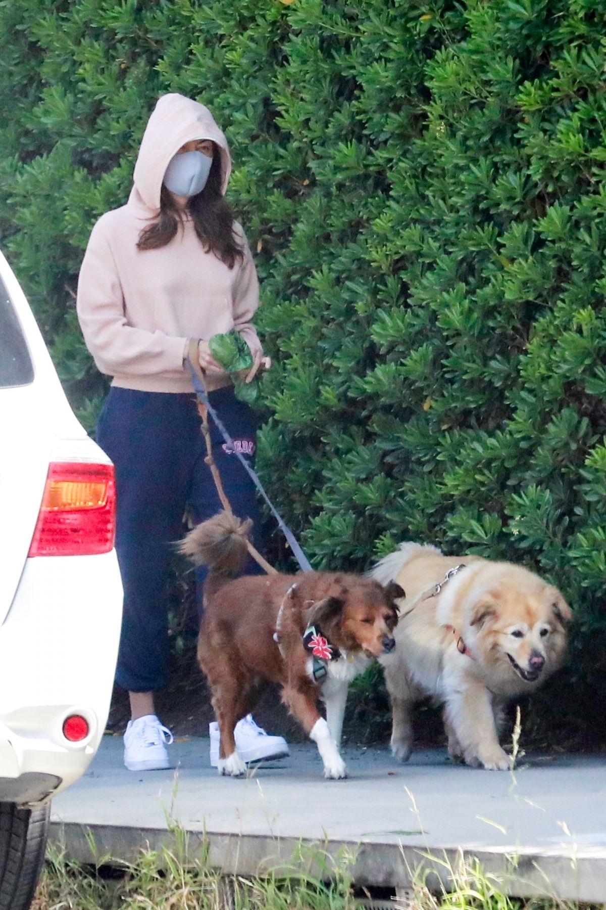 AUBREY PLAZA Out with Her Dogs in Los Feliz